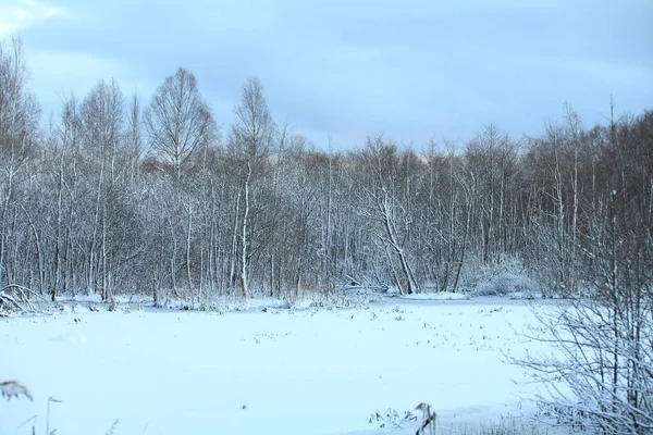 Lac Forestier Blanc Gelé Entouré Arbres Enneigés — Photo