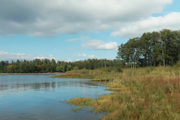 Lake Shore Yellow Sedge Low Cumulus Clouds Early Autumn Picturesque — Stock Photo, Image