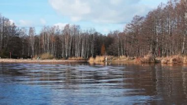 Nehir sonbahar manzarası, çıplak ağaçlar, sıcak güneşli bir gün insanlar doğada dinleniyor.