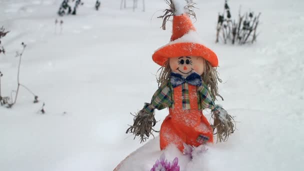 Garden Scarecrow Field Covered Deep Snow Winter Landscape — Stock Video