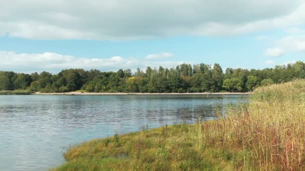 Lake Picturesque Autumn Landscape — Stock videók