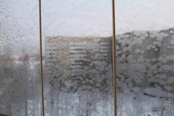 Frosty Patterns Window Panes Winter — Photo