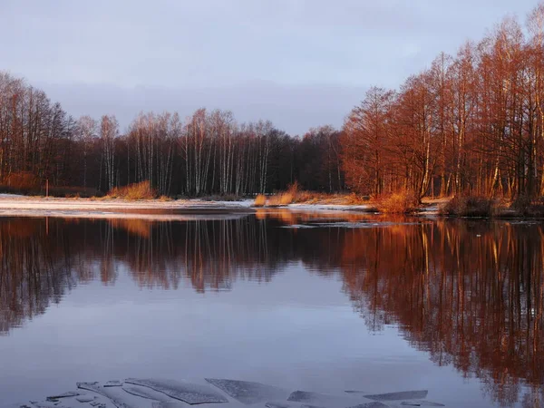 Paysage Hivernal Bord Eau Heure Dorée Arbres Nus Glace Rivière — Photo