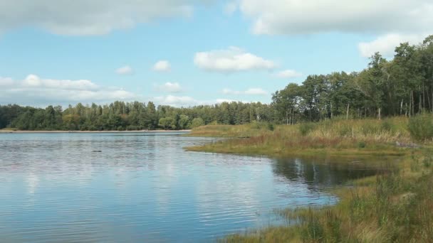 Piękny Letni Krajobraz Nad Jeziorem Wody Chmury Leśne Brzegu Odzwierciedlone — Wideo stockowe
