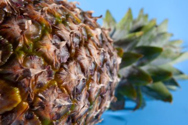 Mavi arka planda ananas. yakın çekim görünümü 