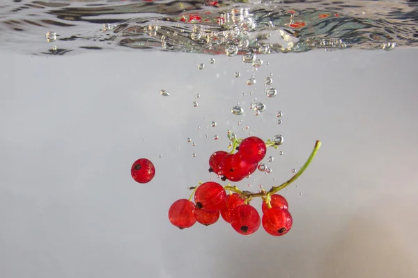 Red berries splashing in water — Stock Photo, Image