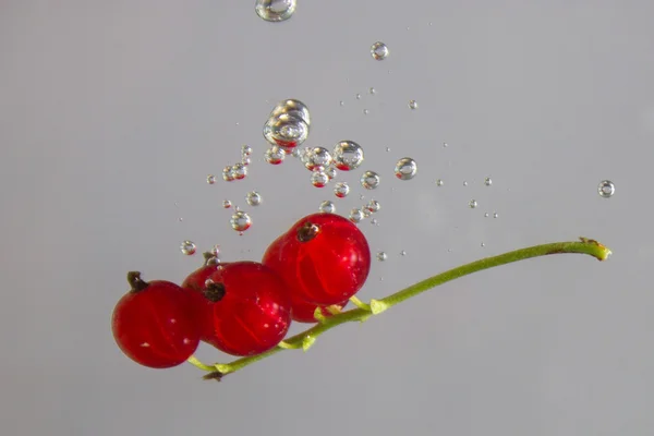 Red berries splashing in water — Stock Photo, Image