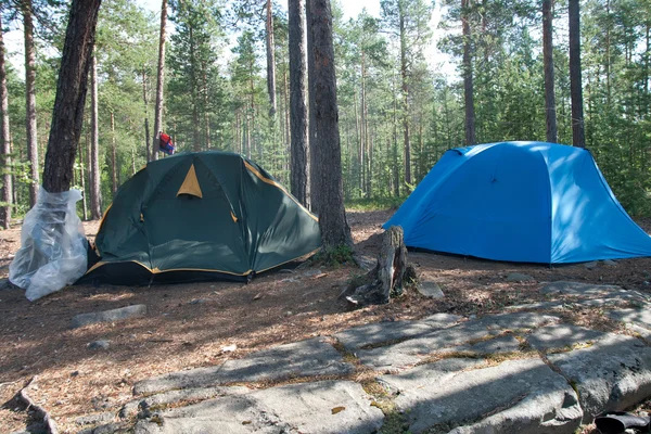 Campamento turístico en un bosque, fuerte viento —  Fotos de Stock