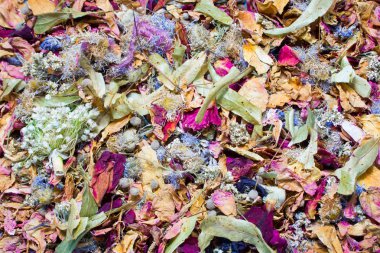 Kurumuş çiçekler ve yaprak arkaplanı.