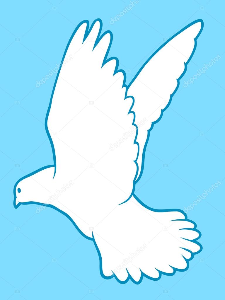 White dove of peace