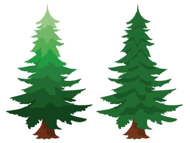 Two evergreen fir trees clipart