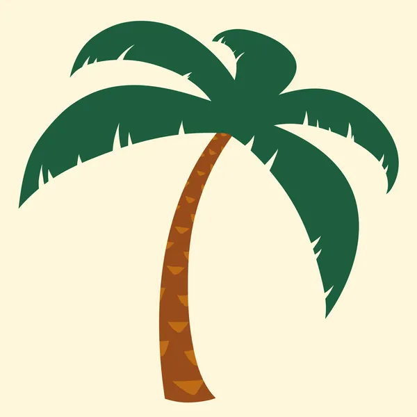 Tropical palm tree illustration — Stock Vector