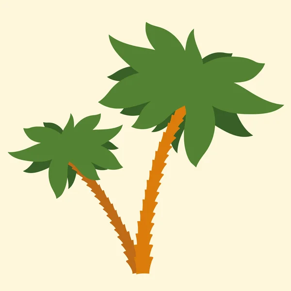 Tropical palm tree — Stock Vector