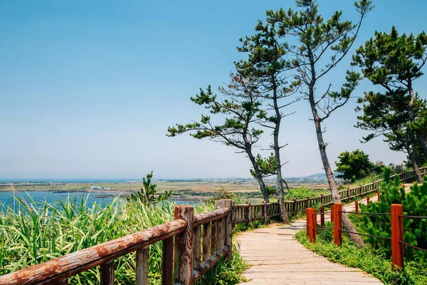 Songaksan Sentier Montagne Avec Mer Dans Île Jeju Corée — Photo