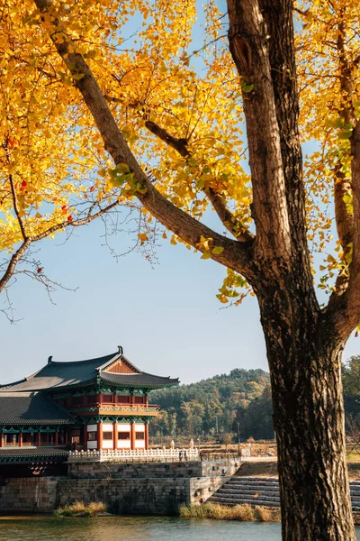한국의 전통적 가을철 경주루 — 스톡 사진