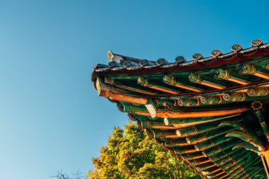 Kore 'nin geleneksel çatı saçarları Jeonju Hanok Köyü Omokdae, Jeonju, Kore