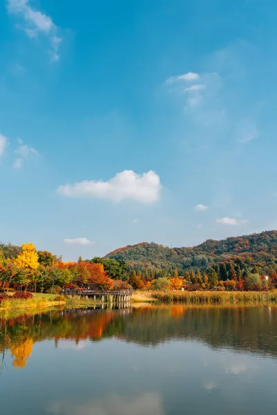 Otoño Pureun Arboretum Cerca Hangdong Railroad Seúl Corea — Foto de Stock
