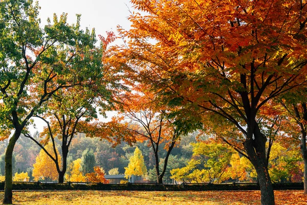 Herbst West Seoul Lake Park Seoul Korea — Stockfoto