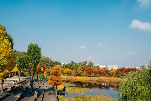 Otoño West Seoul Lake Park Seúl Corea — Foto de Stock