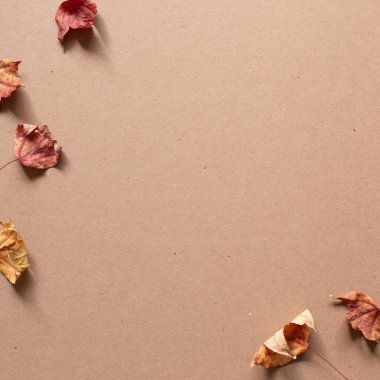 Kahverengi arka planda sonbahar akçaağaç yaprakları. düz alan, üst görünüm, kopyala boşluk