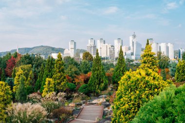 Hanbat botanik bahçesi ve modern binaların sonbaharda Daejeon, Kore 'de görülmesi
