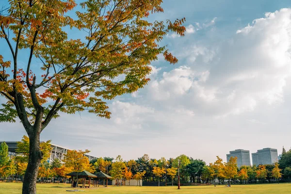 Hanbat Arboretum Herbst Naturlandschaft Daejeon Korea — Stockfoto