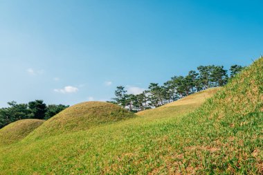 Kore, Gongju 'da Kral Muryeong' un Kraliyet Mezarlığı