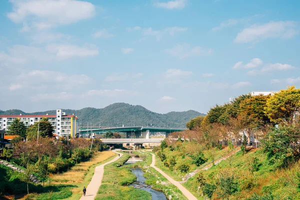 韩国贡州的城市公园和溪流 — 图库照片