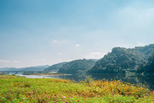 Πάρκο Ποταμού Geumgang Mir Νησί Και Βουνό Στο Gongju Κορέα — Φωτογραφία Αρχείου