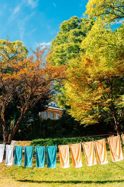 Yangnim História Cultura Aldeia Gwangju Coréia — Fotografia de Stock