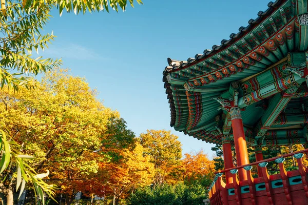 메모리얼 파크에 한국의 명승지 형형색색 의나무들 — 스톡 사진