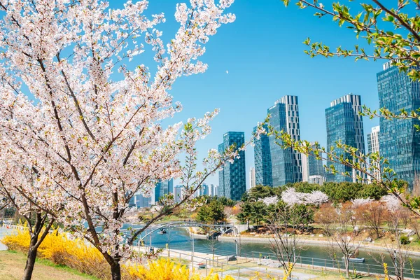 Songdo Central Park 'ın baharı ve Incheon, Kore' de gökdelen.