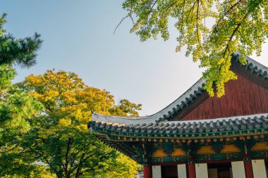 Kore geleneksel mimarisi Gyeongsang-gamyeong parkı Daegu, Kore