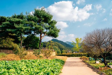 Daegu, Kore 'deki eski geleneksel Nampyeong Mun Klanı.