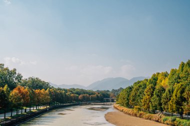 Gwanbangjerim sonbahar ormanı ve nehir Damyang, Kore