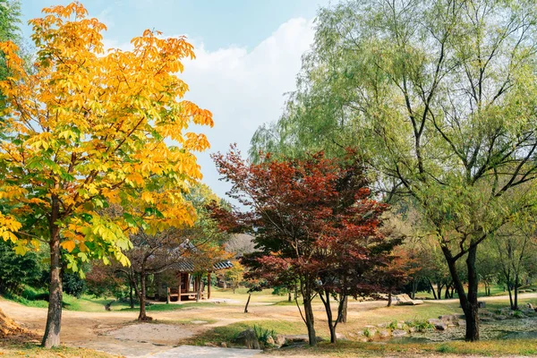 Koreański Tradycyjny Dom Jesienny Las Juknokwon Damyang Korea — Zdjęcie stockowe