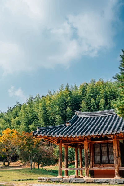 Juknokwon Bamboe Bos Koreaanse Traditionele Huis Herfst Damyang Korea — Stockfoto