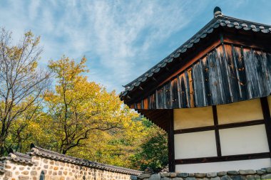 Daejeon, Kore 'deki Uam Tarihi Parkının Sonbaharı