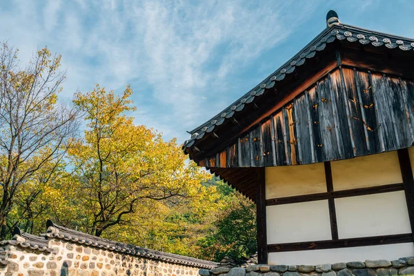 Daejeon, Kore 'deki Uam Tarihi Parkının Sonbaharı