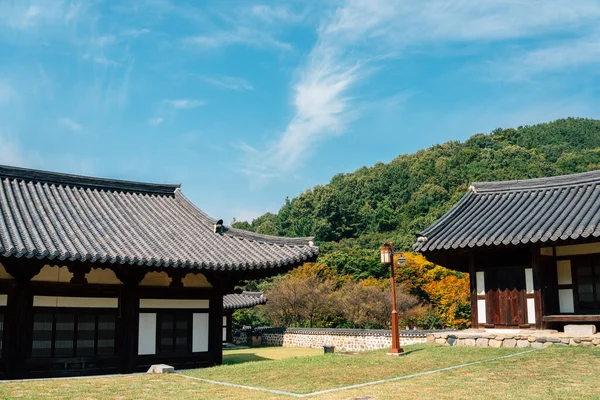 Herfst Van Uam Historic Park Daejeon Korea — Stockfoto