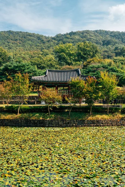 Pabellón Tradicional Coreano Montaña Otoñal Parque Histórico Uam Daejeon Corea —  Fotos de Stock