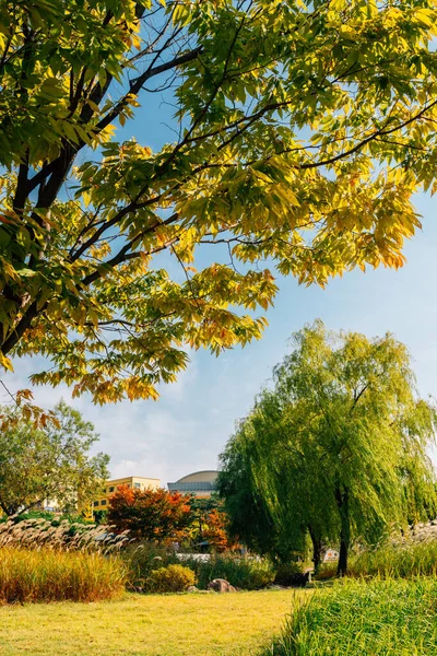 Herbst Des Dongchundang Historical Park Daejeon Korea — Stockfoto
