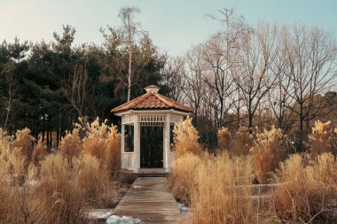 Seul, Kore 'deki Seul Orman Parkı Kışı