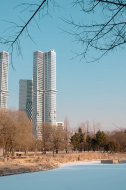 Seul Orman Parkı ve kışın Kore 'de apartman binası.