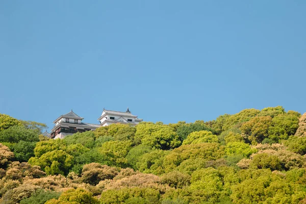 Κάστρο Matsuyama Στο Βουνό Στο Ehime Shikoku Ιαπωνία — Φωτογραφία Αρχείου