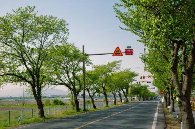 Kore, Gyeongju 'da ağaç sıralı köy yolu ve demiryolu.