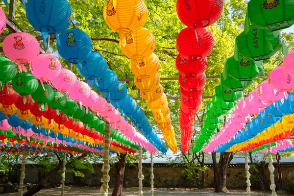 Compleanno Buddha Lanterne Colorate Tempio Bunhwangsa Gyeongju Corea Traduzione Compleanno — Foto Stock