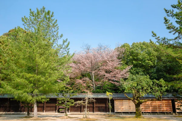 Santuário Kashihara Primavera Nara Japão — Fotografia de Stock