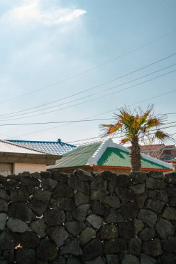 Jocheon-eup eski köy evleri, Jeju Olle Patikası 18. yol Jeju Adası, Kore