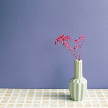 Masada pembe, kuru çingene çiçeği vazosu var. mor duvar arkaplanı. ev içi